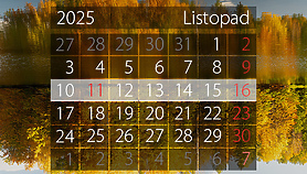 W tym tygodniu portEl poleca: Święto Niepodległości, pomoc schronisku, warsztaty