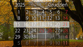 W tym tygodniu portEl poleca: Teatr, świąteczne spotkanie i tańce