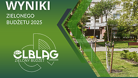 Znamy wyniki Zielonego Budżetu
