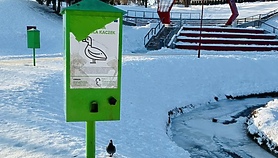 Jak to z karmieniem kaczek bywa