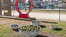 Dziewięć tysięcy bratków i łódka na tle Porto Vista