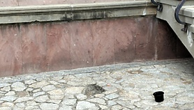 Porwanie stulecia w Elblągu? Zniknął Fotograf!
