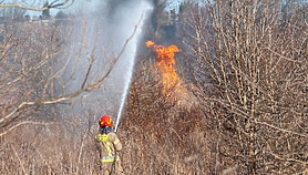 Pożar traw przy Wschodniej