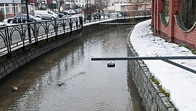 Kumiela pod kontrolą