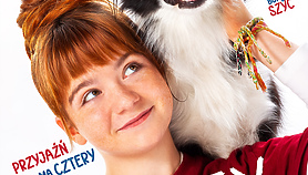 Psoty w Kinie Światowid