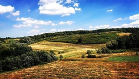 Sześć nowych rezerwatów przyrody