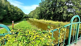 Zaprojektowali nową ścieżkę rowerową przy Kanale Elbląskim