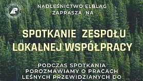 Spotkanie Zespołu Lokalnej Współpracy