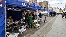 Stary Rynek nie dla aut