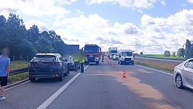Trzy samochody zderzyły się na S7. Do kolizji przyczynił się łabędź