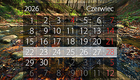 W tym tygodniu portEl poleca: Dni Elbląga i Truso Fest