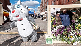 Wielkanocny kiermasz na starówce