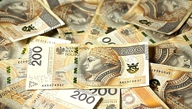 Wydatki elbląskich parlamentarzystów pod lupą