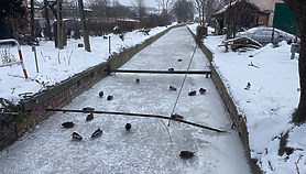 Zamarznięta Stradanka niepokoi mieszkańców Zamarznięta Stradanka niepokoi mieszkańców