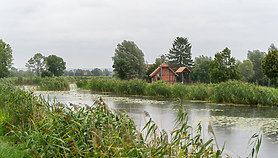Trzydzieści milionów na ochronę Żuław