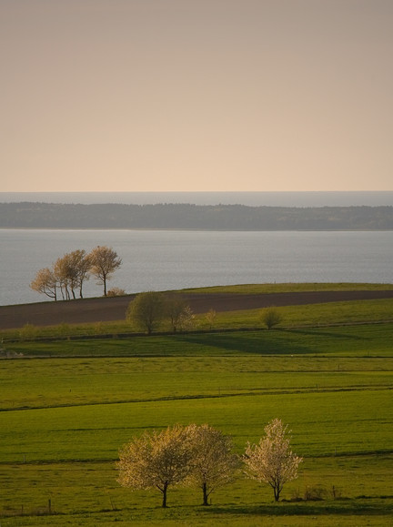 Widok na zalew.