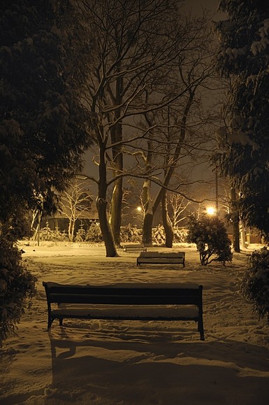 Park w Pasłęku