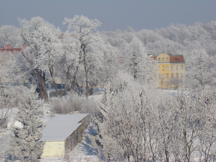 Elbląski park zimą