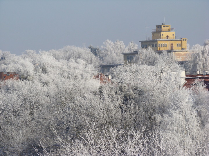 Elbląg zimą