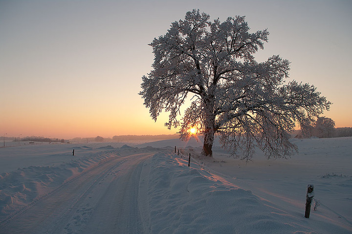 Ostatni błysk.