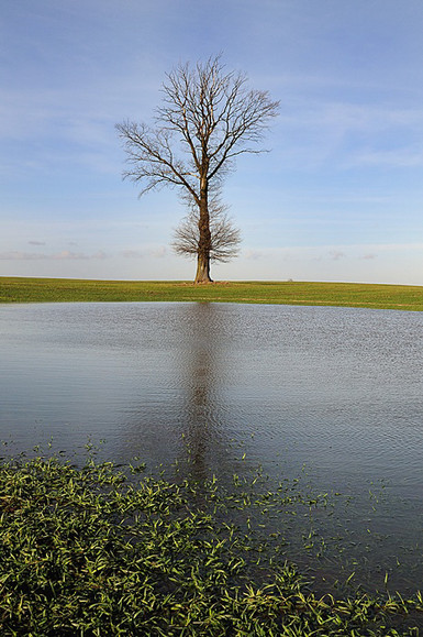 Zapachniało wiosną