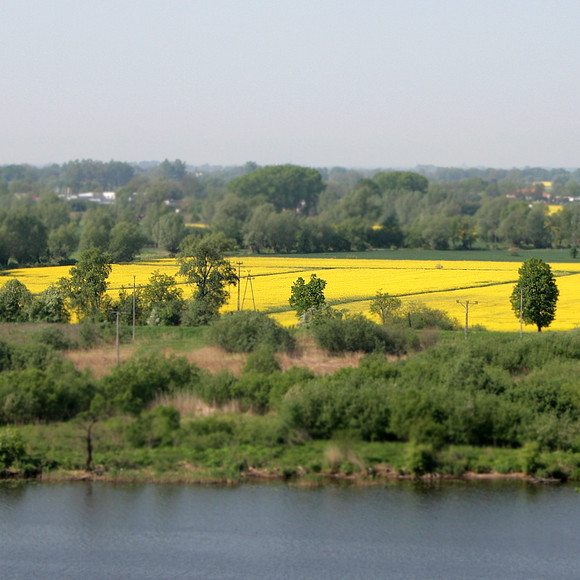 słońcem malowane