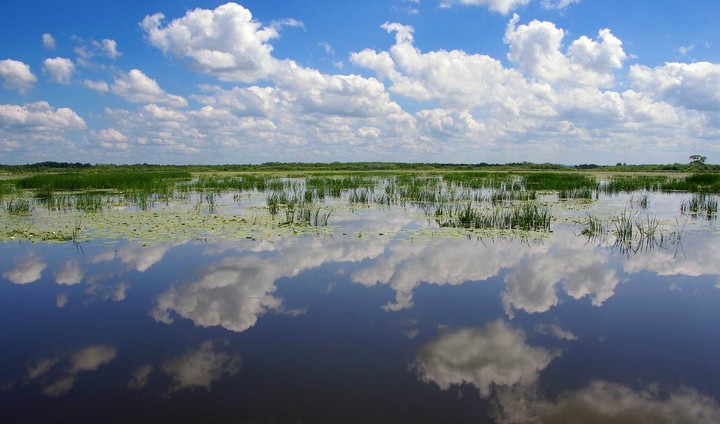 Jezioro Drużno