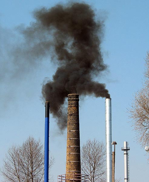 Ekomafia
Zdjęcie nagrodzone w konkursie na fotkę kwietnia