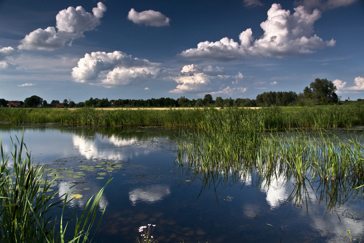 Nad Fiszewką