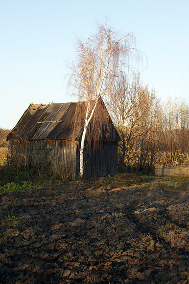 tropy elbląskie