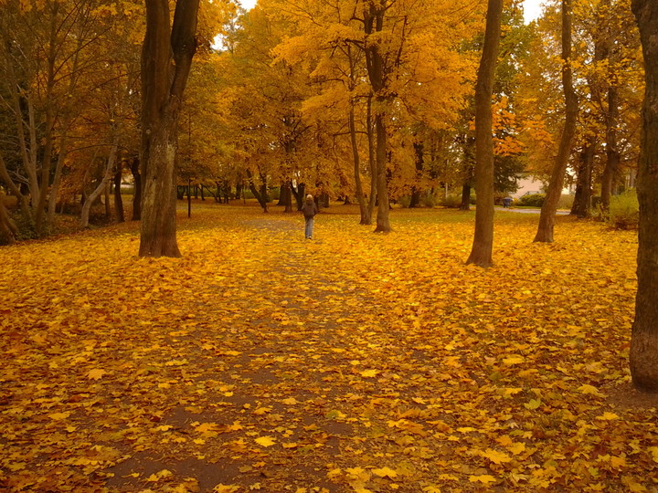 Jesień idzie przez park...