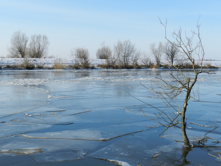 kry na rzece Elbląg