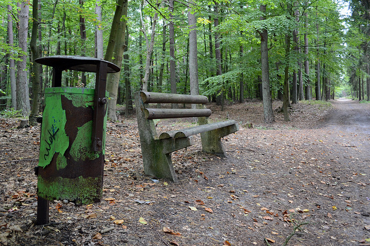 ławeczka i śmietniczek