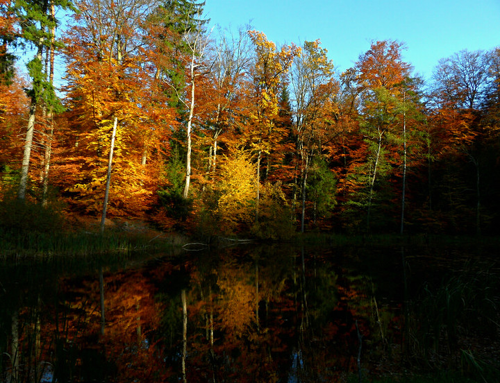 Jelenia Dolina.