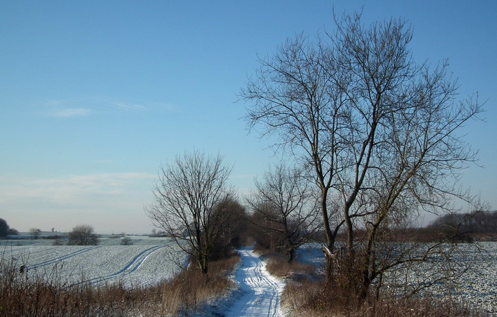 mroźny dzień