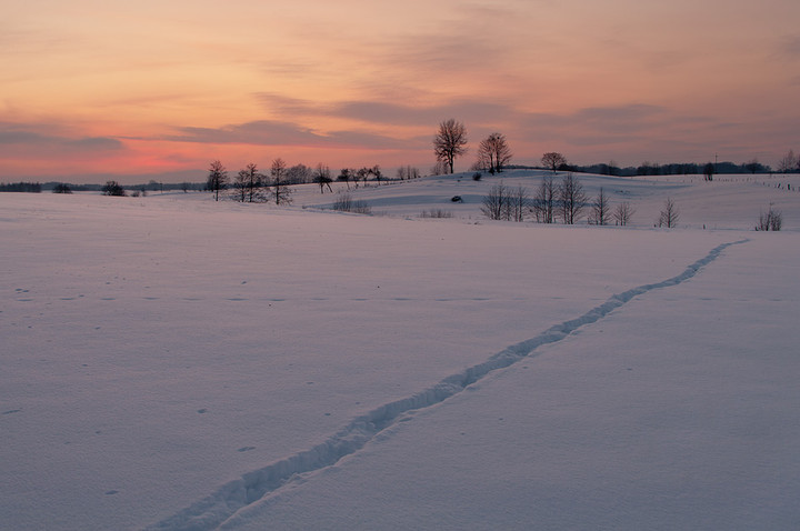 Ścieżka