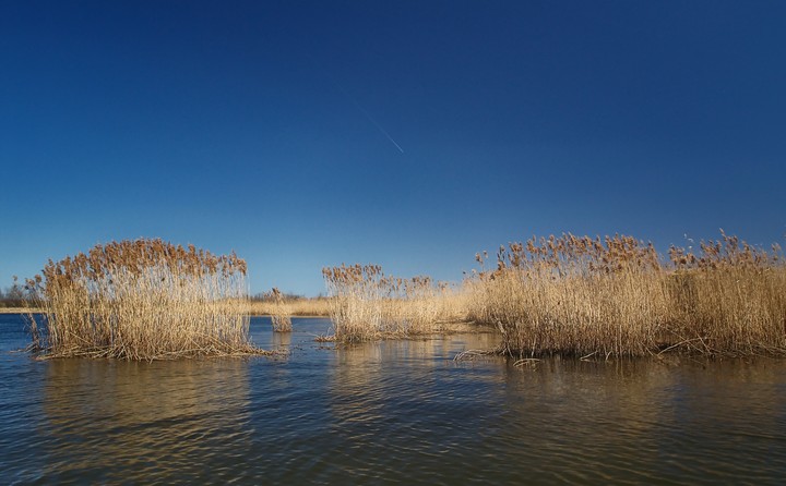 Przedwiośnie nad Nogatem