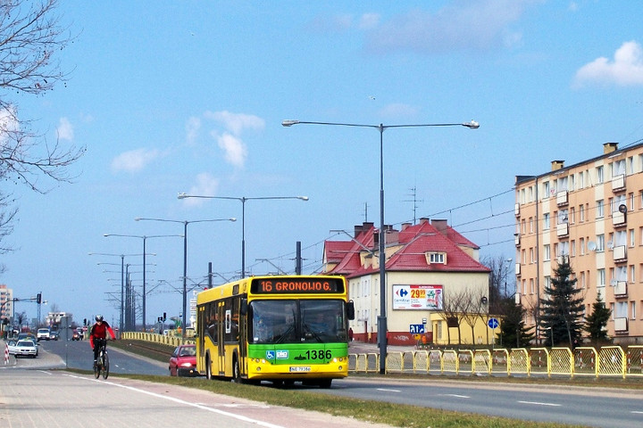 W Elblągu wiosna już się wyjawiła.