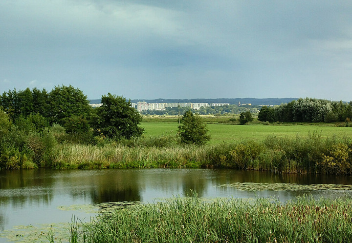 Widok na Elbląg z Kępy Rybackiej.