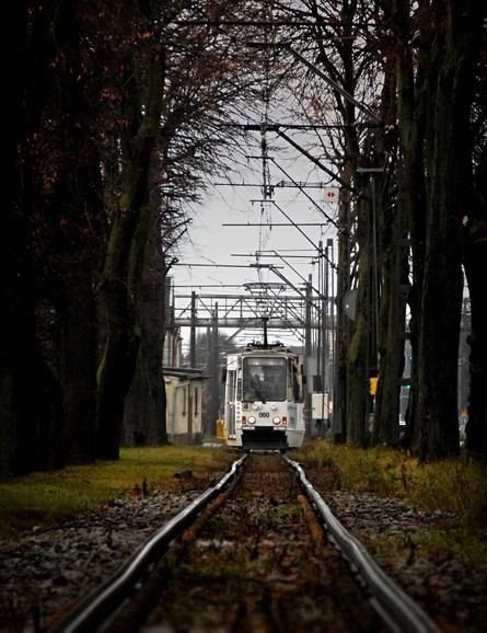 Spojrzeć tramwajowi w oczy