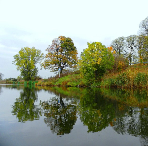 Jesień nad Nogatem