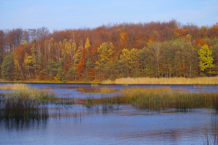 Elbląska złota jesień