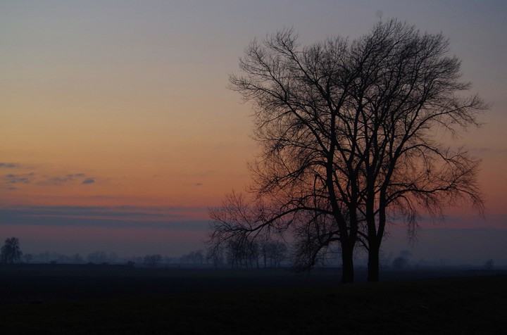 Mgliste Żuławy