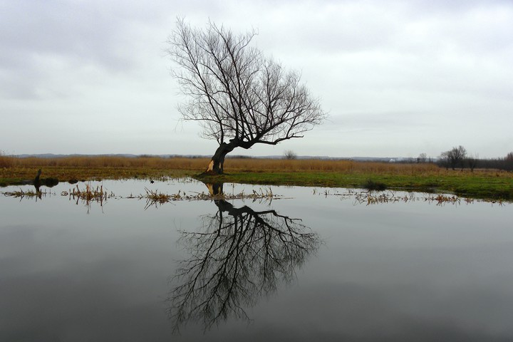 Widok z kajaka