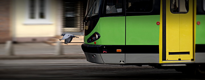 Ucieczka przed tramwajem. Zdjęcie nagrodzone w konkursie "Elbląskie tramwaje".