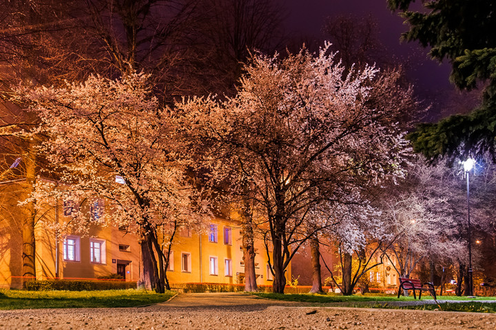 Wieczorową porą