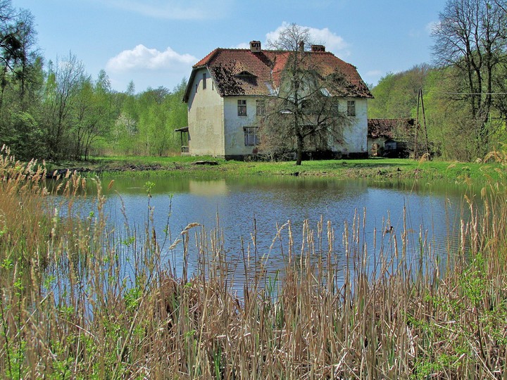 ELBLĄSKIE BUDYNKI NA UBOCZU