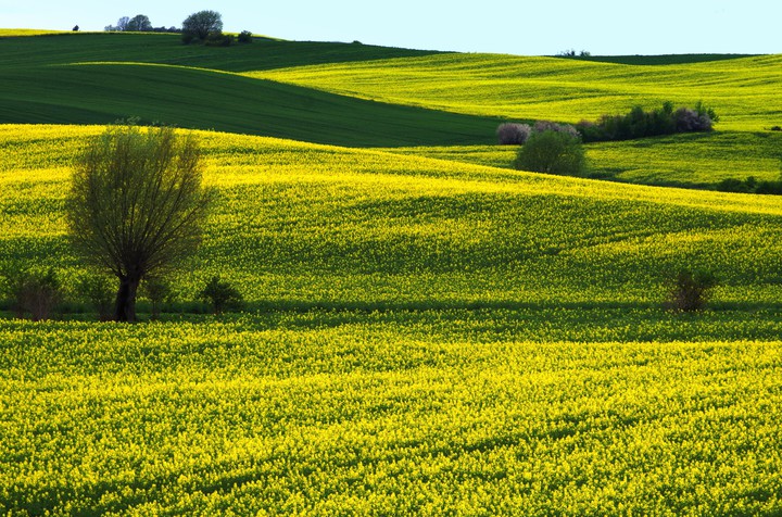 Żuławskie klimaty