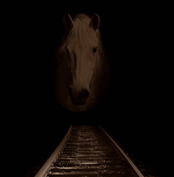 Horse in the Dark