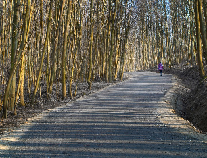 "Krętym szlakiem Green velo"